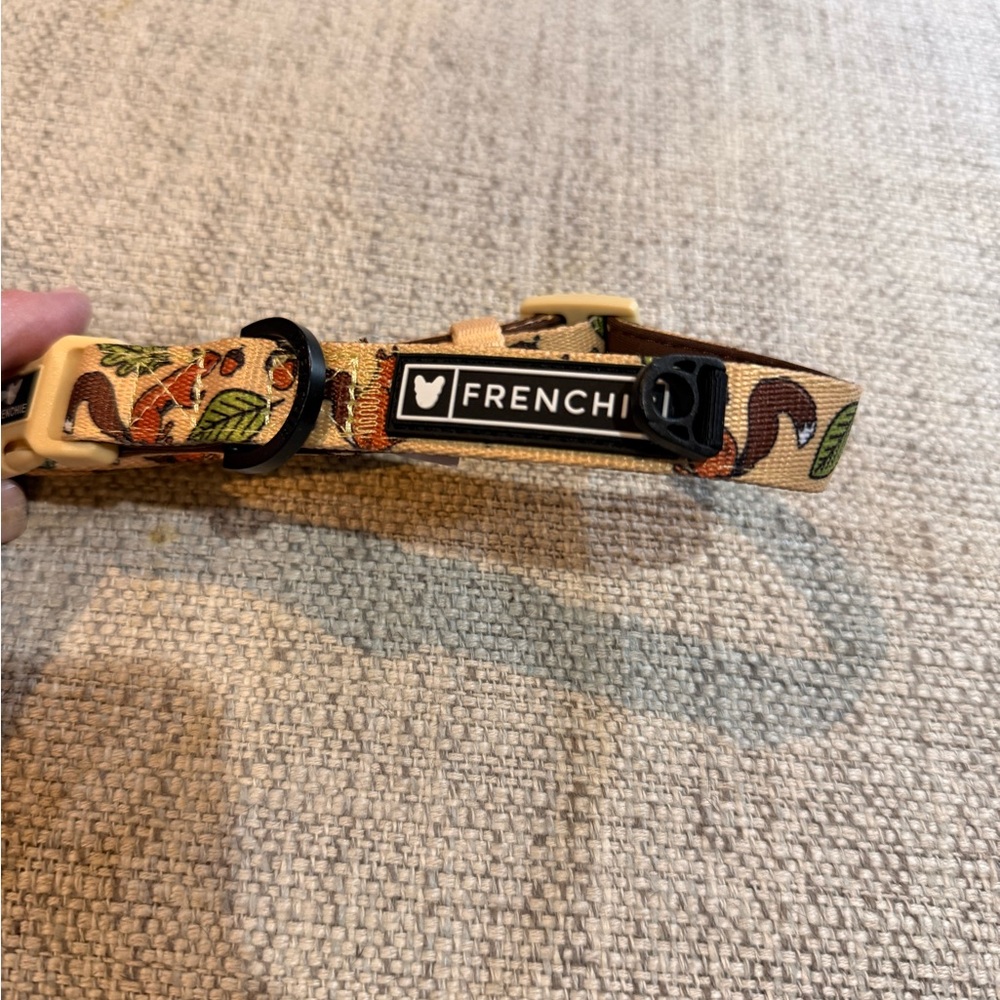 Frenchie Bulldog squirrel collar.